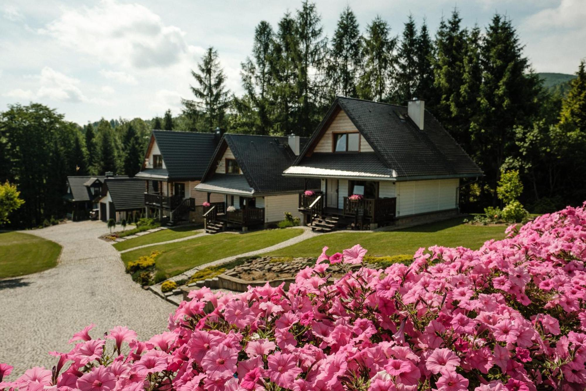 Holiday home Dom Malowany - Wetlina